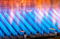 Mundham gas fired boilers